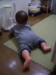 はいはい大好き