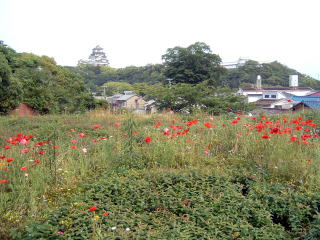 お城と