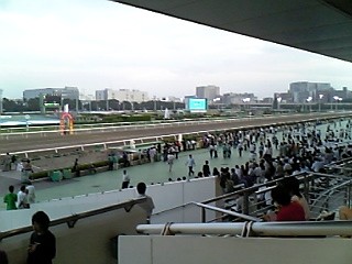 ８月１日競馬場昼.jpg