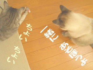 仲良く遊んでね