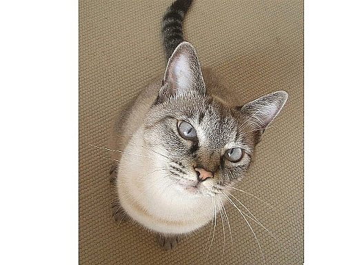 濃くなっちゃった