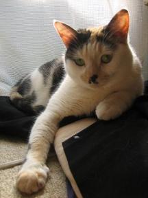 2006ﾆｬ-子04月 169.jpg