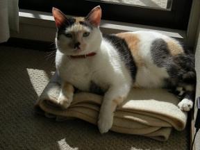 2008ﾆｬ-子3月 116.jpg
