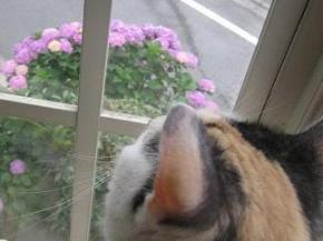 するわけよ…