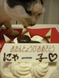 2009ﾆｬ-子12月 004.jpg