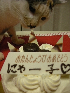 2009ﾆｬ-子12月 005.jpg