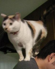 2008ﾆｬ-子4月 017b.jpg