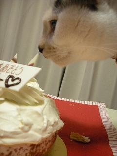 2009ﾆｬ-子12月 017.jpg