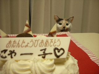 2009ﾆｬ-子12月 021.jpg