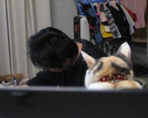 2008ﾆｬ-子4月 101b.jpg