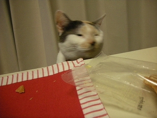 2009ﾆｬ-子12月 035.jpg