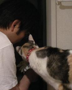 2008ﾆｬ-子5月 146b.jpg