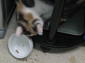 2007ﾆｬ-子10月 171.jpg