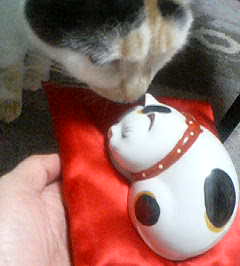 2006 ネムリ猫3.jpg