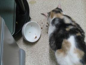 2007ﾆｬ-子10月 162.jpg