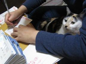 2005 ﾆｬｰ子12 336.jpg