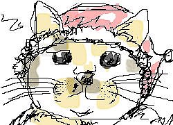 サンタ帽のにゃー子