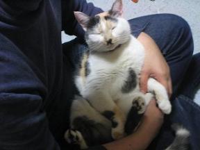 2004x'masﾆｬｰ子 023.jpg