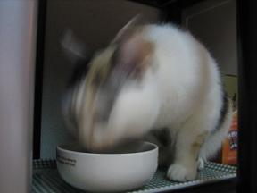 2007ﾆｬ-子10月 322.jpg