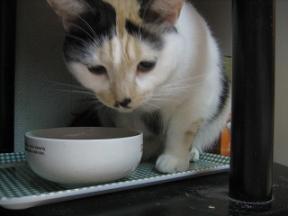 2007ﾆｬ-子10月 321.jpg