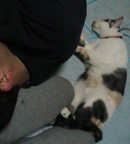 究極の三角関係♪