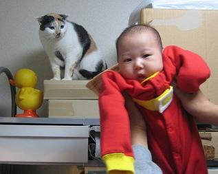 ほーら、赤ちゃんだよー