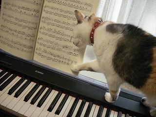 2009ﾆｬ-子10月 001.jpg