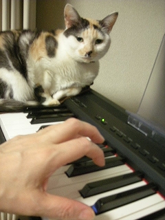 2009ﾆｬ-子10月 004.jpg