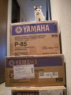 2009ﾆｬ-子10月 017.jpg