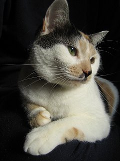 2005 ﾆｬｰ子11 407.jpg