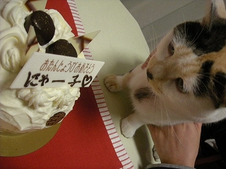 2009ﾆｬ-子12月 010.jpg