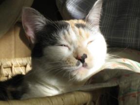 2006ﾆｬ-子10月 072.jpg