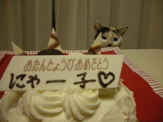 2009ﾆｬ-子12月 033.jpg