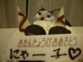 2009ﾆｬ-子12月 055.jpg