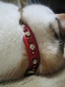 2007ﾆｬ-子12月 067.jpg