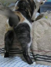 よっしゃ、ホレ取ったたでぇ