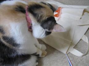 2006ﾆｬ-子05月 214.jpg