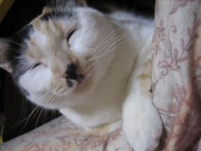 2006ﾆｬ-子10月 092.jpg