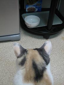 2007ﾆｬ-子10月 071.jpg