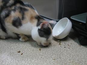 2007ﾆｬ-子10月 167.jpg