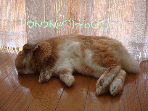 ウトウト…