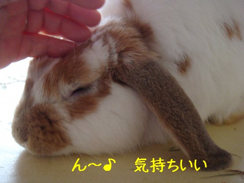 ん～♪　気持ちいい☆