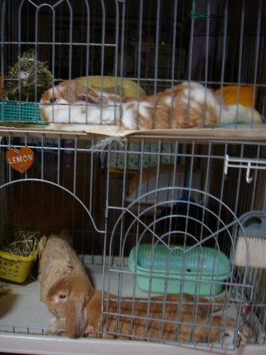 ふたりそろって。