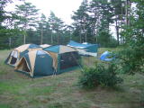 2006_0804200600801.jpg