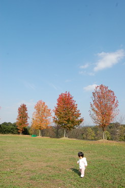 公園.jpg