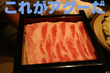 4_アグー