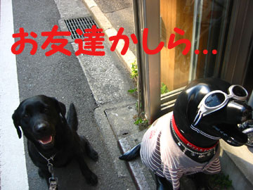 5_お友達
