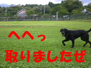 取れました