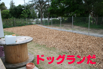 2_ドッグラン