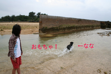 3_海01